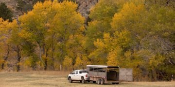 Simple Trailer Upkeep Pointers – Nation Blacksmith Trailers Weblog