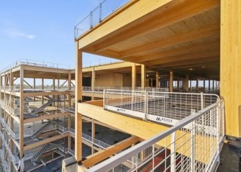 Walmart will get its greatest mass trees company campus