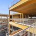 Walmart will get its greatest mass trees company campus Walmart will get its greatest mass trees company campus