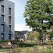 Lovell decided on for £1bn Druids Heath regeneration