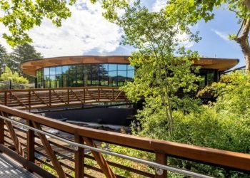 Plywood takes centerstage in zoo’s LEED Gold venture