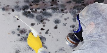 CPD: Awaab’s Regulation and damp control