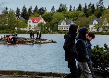 Excavator overturns on Tjörnin lake islet Excavator overturns on Tjörnin lake islet