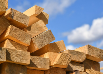 Trees consolidator set for get a divorce Trees consolidator set for get a divorce