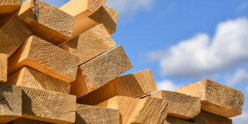 Trees consolidator set for get a divorce