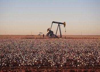 Chevron to Construct Its First Knowledge Middle Energy Plant in Texas Permian Space Chevron to Construct Its First Knowledge Middle Energy Plant in Texas Permian Space