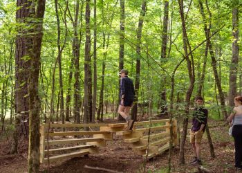 Taking to the Woods to Have interaction the Subsequent Technology of Mass Trees Designers