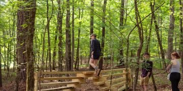 Taking to the Woods to Have interaction the Subsequent Technology of Mass Trees Designers