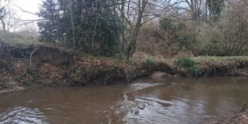 River clean-up paintings for Barhale