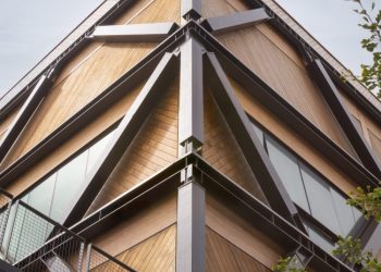 Mass trees anchors a brand new generation of campus design Mass trees anchors a brand new generation of campus design