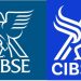 CIBSE drops the torch and faces ahead CIBSE drops the torch and faces ahead
