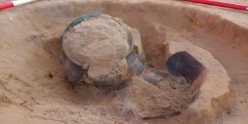 Anglo-Saxon burial flooring discovered at Sizewell C