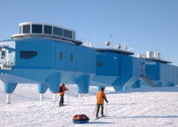 Wish to paintings within the snow?