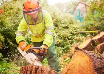 Bids invited for grounds upkeep framework