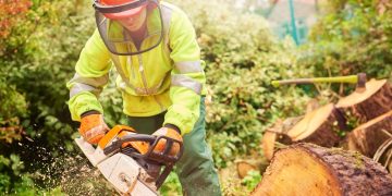 Bids invited for grounds upkeep framework