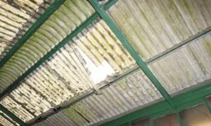 Sole dealer within the dock for employee’s roof fall