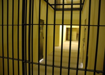 Builder jailed for taking £400,000 from sufferers with out stating chapter