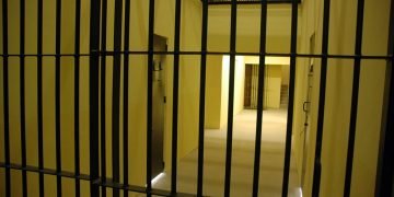 Builder jailed for taking £400,000 from sufferers with out stating chapter