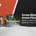 Snow Blower vs Snow Plow