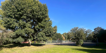 Barhale secures Thames Water hat-trick