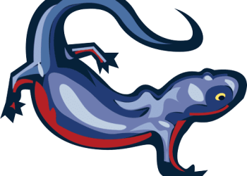 New Electrical Mini Excavator and Mini Observe Loader From New Holland Development Make bigger Jobsite Probabilities