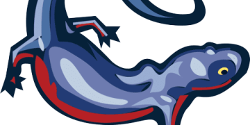 New Electrical Mini Excavator and Mini Observe Loader From New Holland Development Make bigger Jobsite Probabilities