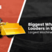 Largest Wheel Loader within the Global