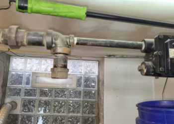 Passing the Torch: A Veteran’s Mirrored image on Steam Machine Carrier