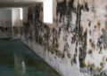 Basement Water Seepage: Reasons, Restore Strategies & Value (US Home-owner Information 2026)