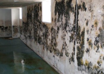 Basement Water Seepage: Reasons, Restore Strategies & Value (US Home-owner Information 2026)