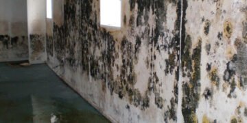 Basement Water Seepage: Reasons, Restore Strategies & Value (US Home-owner Information 2026)