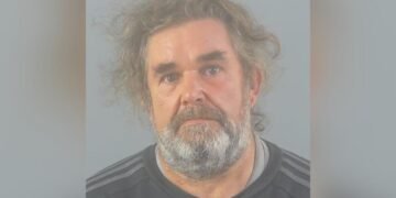 Hampshire guy stole mini-excavator from small industry