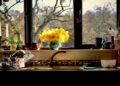 Golden Triangles: Easy methods to Design a Prime-Functioning Kitchen Format