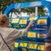 Interactive paintings brings Jacksonville’s tune heritage to lifestyles Interactive paintings brings Jacksonville’s tune heritage to lifestyles