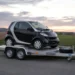 What Automobile Trailer for Good Automobile House owners In fact Works
