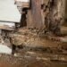 The Hidden Price of Termites: Why Early Pest Keep an eye on Saves 1000’s The Hidden Price of Termites: Why Early Pest Keep an eye on Saves 1000’s