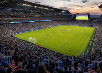 The Most sensible 6 Stadium Building Tasks to Observe in 2026