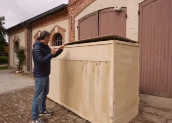 Couple purchase a Chinese language mini excavator and worry it may well be ‘the largest mistake ever’ after unboxing it