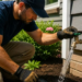 The Frost-Unfastened Bibb Is not the Drawback: Discovering the Actual Reason for Freeze Screw ups The Frost-Unfastened Bibb Is not the Drawback: Discovering the Actual Reason for Freeze Screw ups