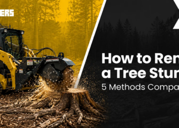 Methods to Take away a Tree Stump: 5 Strategies In comparison – Skid Steers Direct