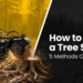 Methods to Take away a Tree Stump: 5 Strategies In comparison – Skid Steers Direct Methods to Take away a Tree Stump: 5 Strategies In comparison – Skid Steers Direct