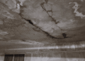 Is There a Everlasting Answer for Roof Leakage?
