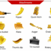 Mini Excavator Attachments Variety Information: Buckets, Augers, Breakers & Actual Compatibility Common sense
