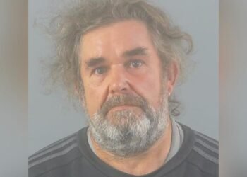Southampton guy stole mini-excavator from small industry Southampton guy stole mini-excavator from small industry