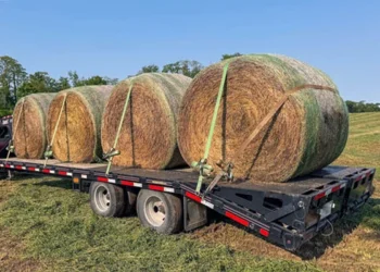 Farm Hay Trailer: What Dimension Do You Want for Your Farm?